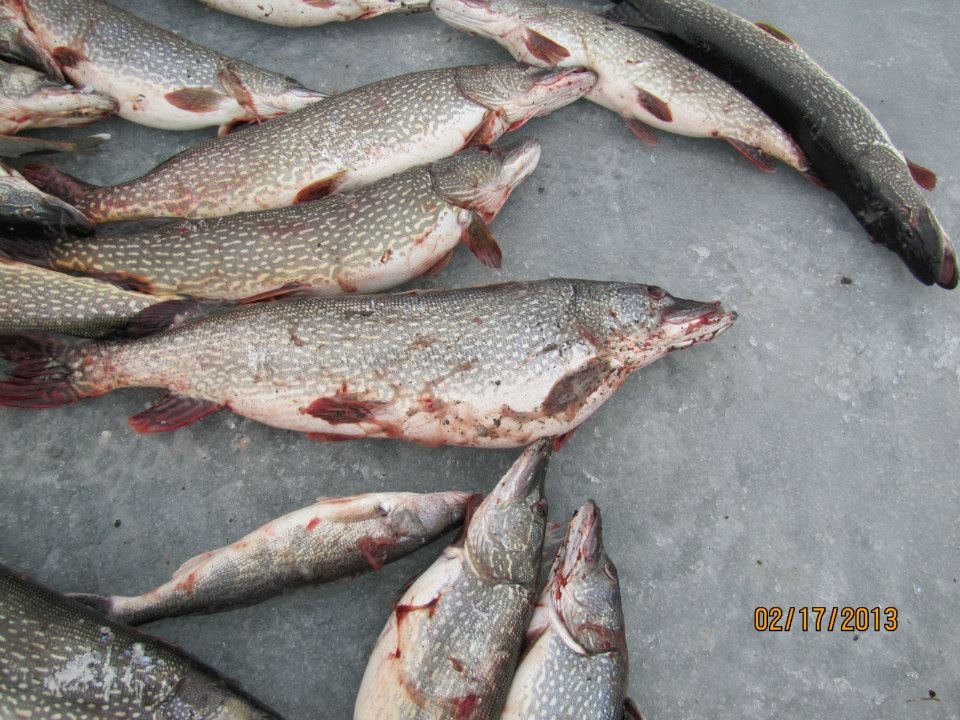 Dan Neff's album, Ice Fishing 2013