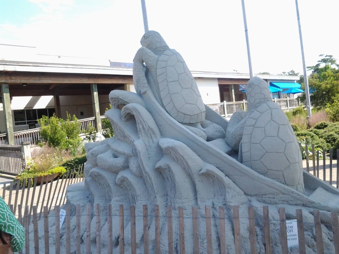 Phyllis Hill's album, aquarium at the beach