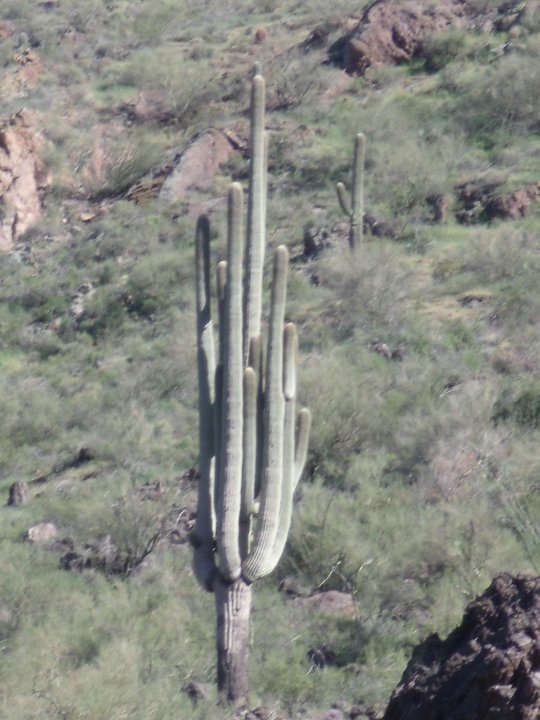 Robert Stevens' album, Picacho_Peak Hike