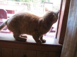 Maribeth Bach's album, Oliver