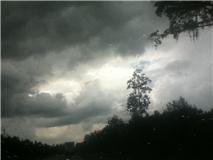 Tracy Mercantini 's album, summer2011