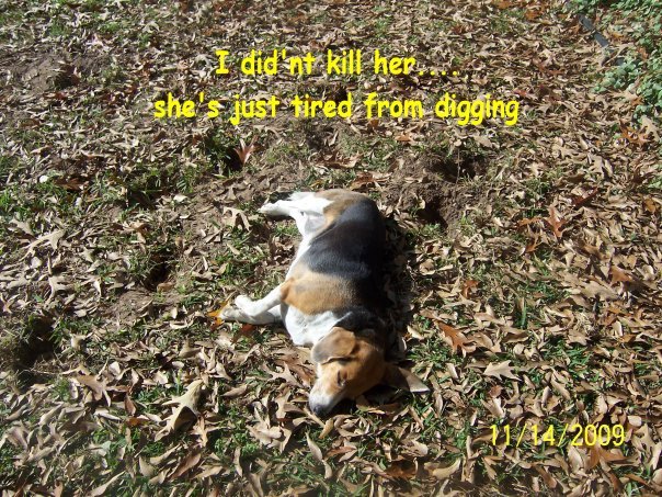 Dusty Pittinger's album, Timeline Photos