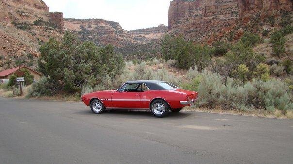 Patrick Bond's album, My Firebird