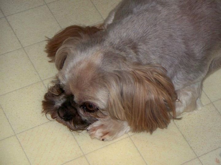 Nancy Dohm's album, Cover Photos