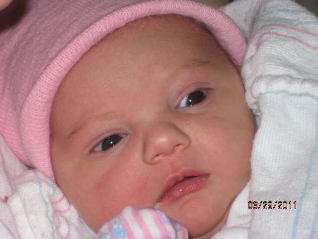 Susan White's album, Timeline Photos