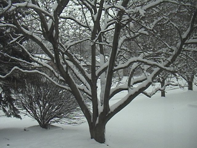 Stephen Paul's album, Snow in Saint Louis
