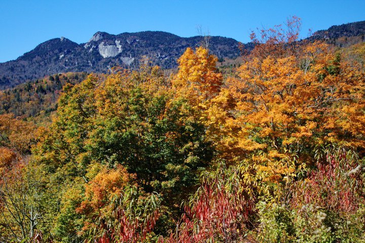 John Turner's album, 2010-10 Blue Ridge Pkwy