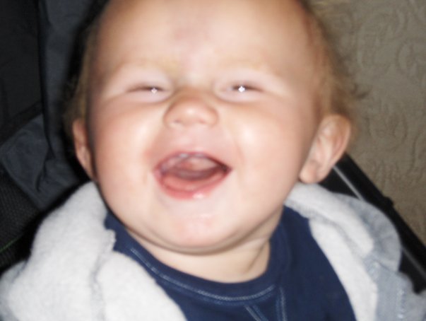 Kari Stringfellow's album, grandsons one year birthday ( daniel Jr)