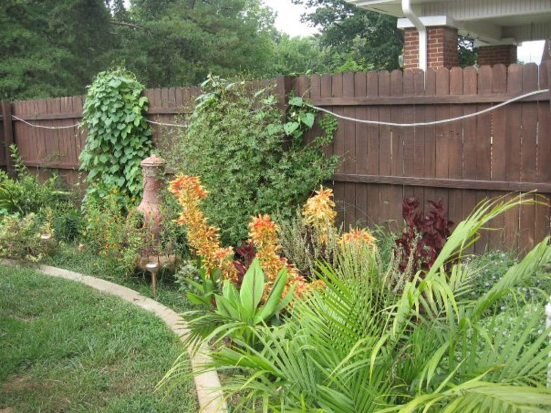Sharon Moore's album, Missing My Garden