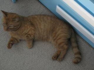 Maribeth Bach's album, Oliver