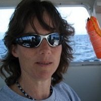 Christine Seidner's album, Profile Pictures