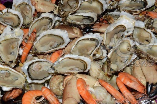 Robert Kelley's album, Seafood Dinners to enjoy