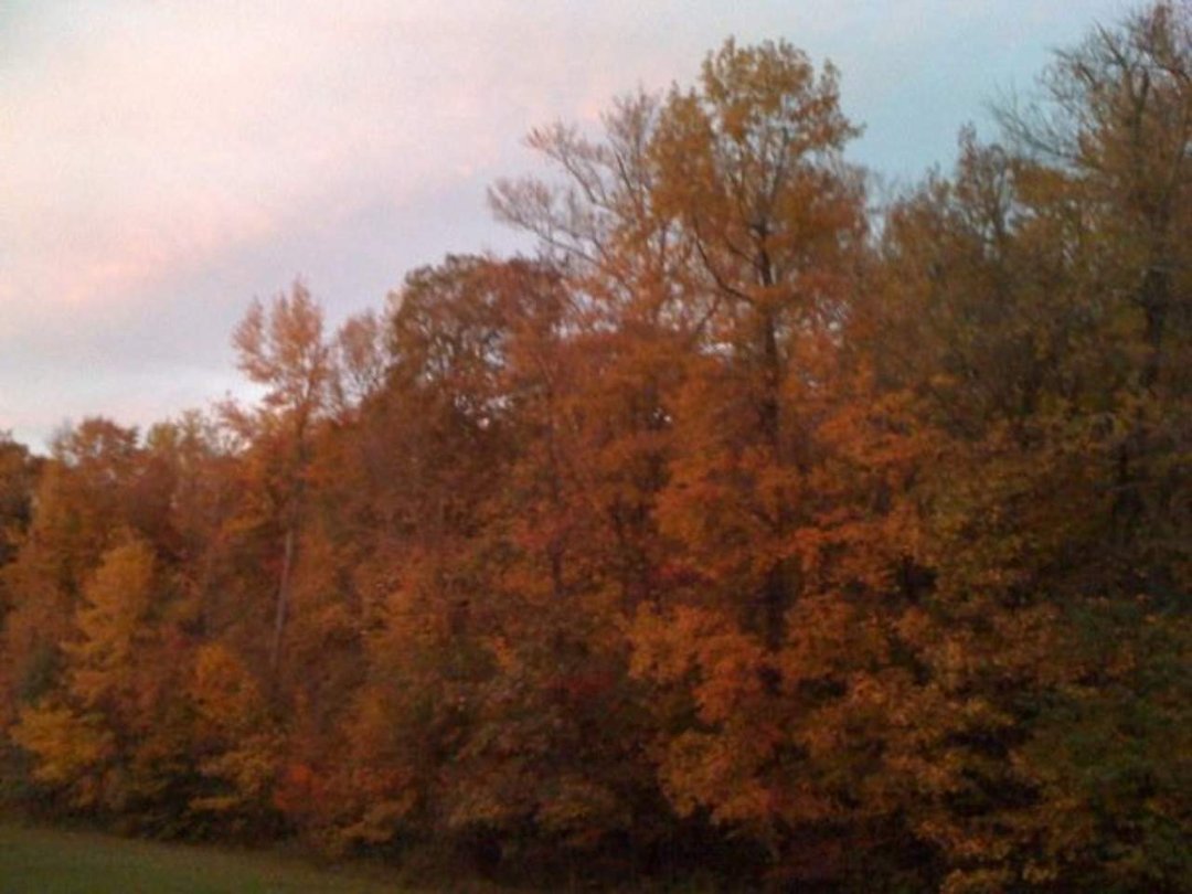 Suzanne McCollum's album, Cover Photos