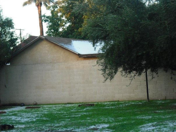 Regina Diaz's album, Winter 2009