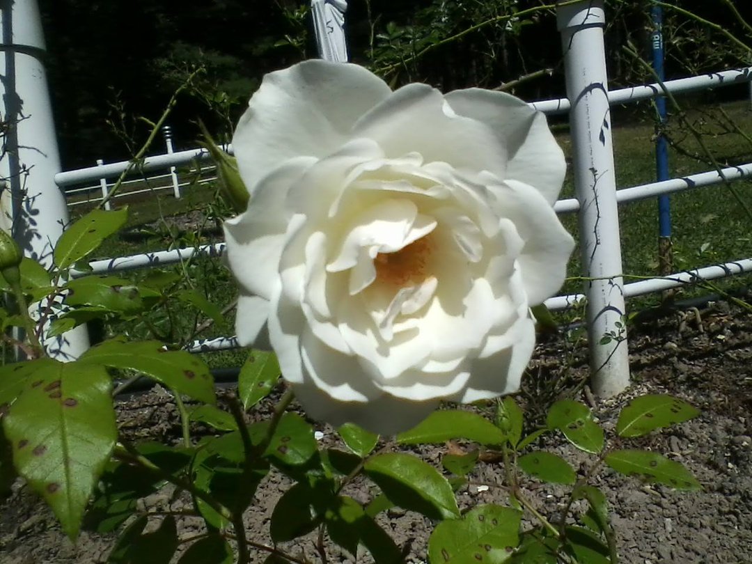 Susan Bratkovics' album, Timeline Photos