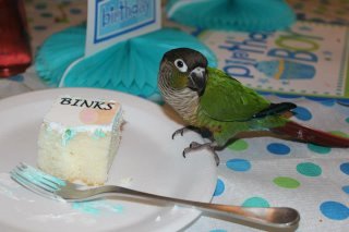 Cindy Thomas' album, Braylon's Birthday 2013