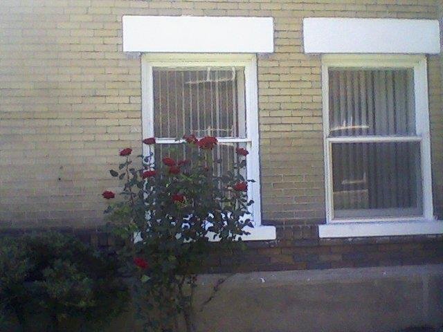 Kyle Applebee's album, Mobile Uploads