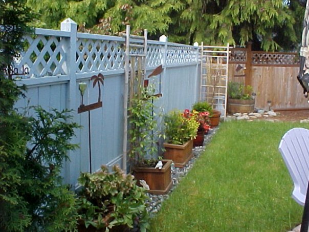 Barbara Kent's album, Yard Pictures