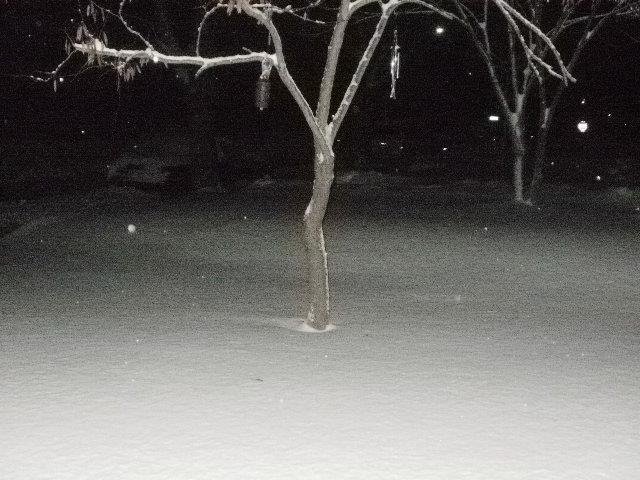 James Dominy's album, Dec. 2012 Snow, Christmas and MORE Snow