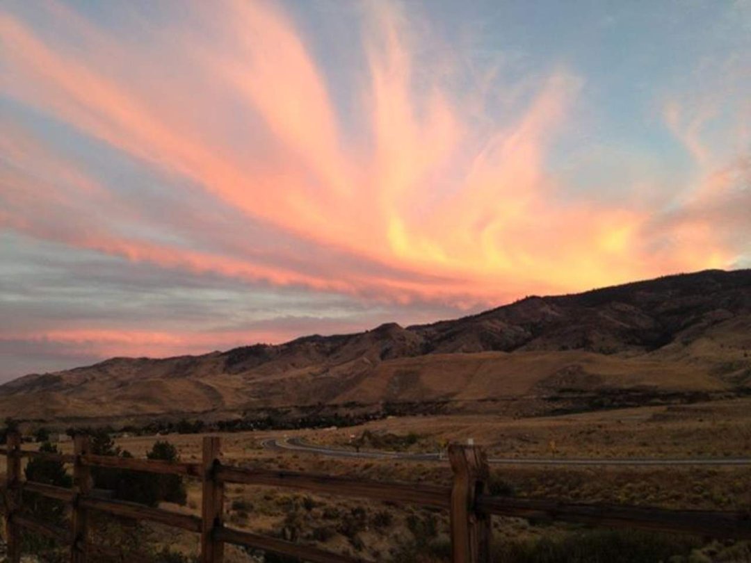 Susan Cole's album, Cover Photos