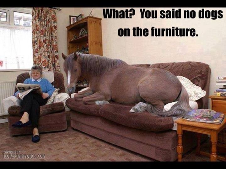 Raynette Lester's album, Timeline Photos