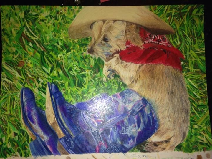 Sandra Gunderson's album, Cover Photos