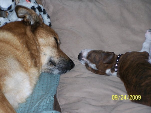 Shellamae Tucker's album, my photos
