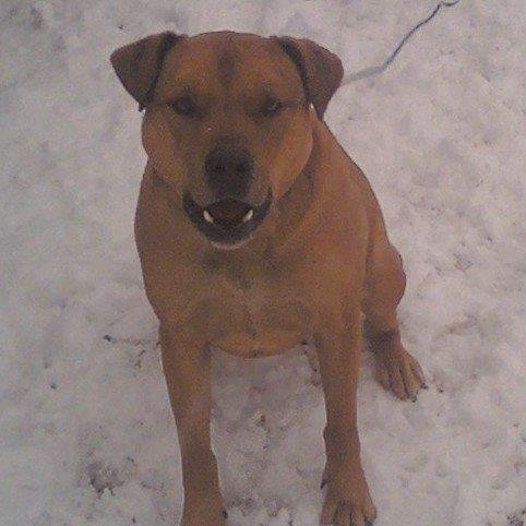 Sherry Fowler's album, Timeline Photos