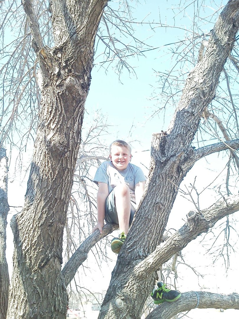 Greg Brekel's album, Mobile Uploads