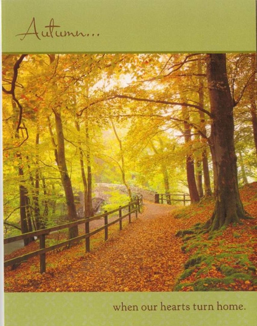 Kimberly King (Freeman)'s album, Cover Photos