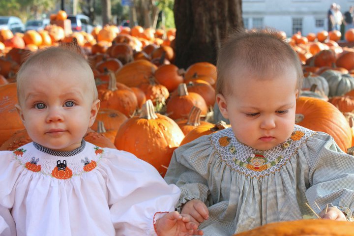 Davis Collins' album, Collins at the Pumpkin Patch