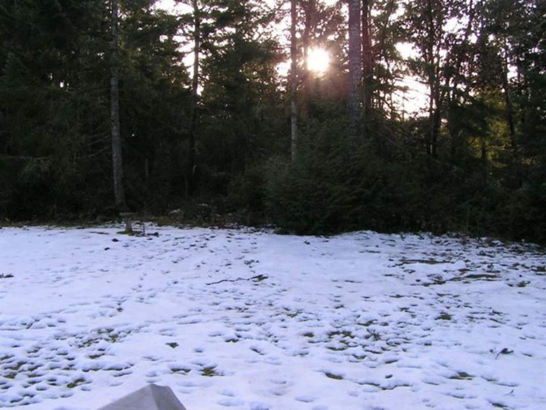 Sharon Worthington's album, Winter of 2012