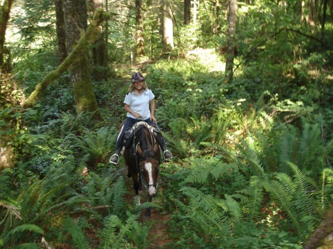 Carla Swearingen's album, August 2011 Horses