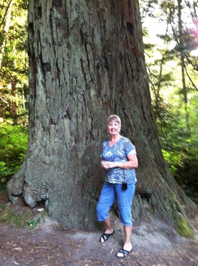 Doris Anderson's album, Mobile Uploads