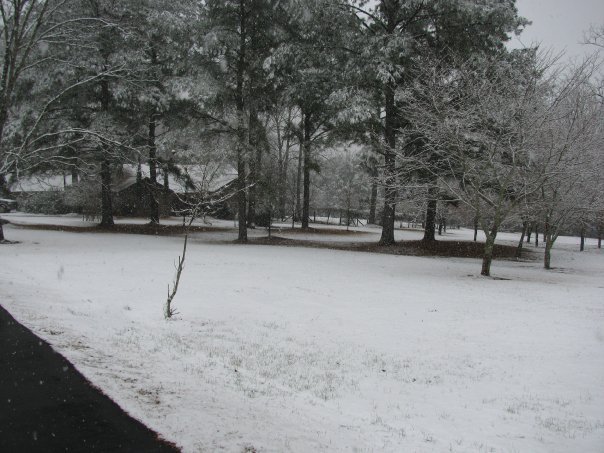 Lessie Gray's album, snow pictures
