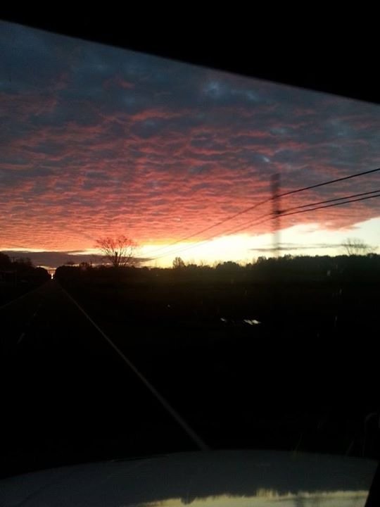 Tim Hudson's album, Mobile Uploads