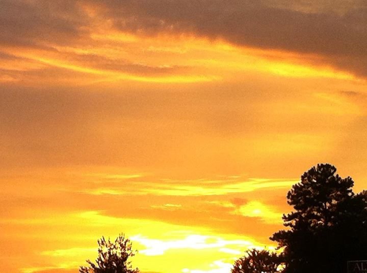 Terry Fewell's album, Mobile Uploads