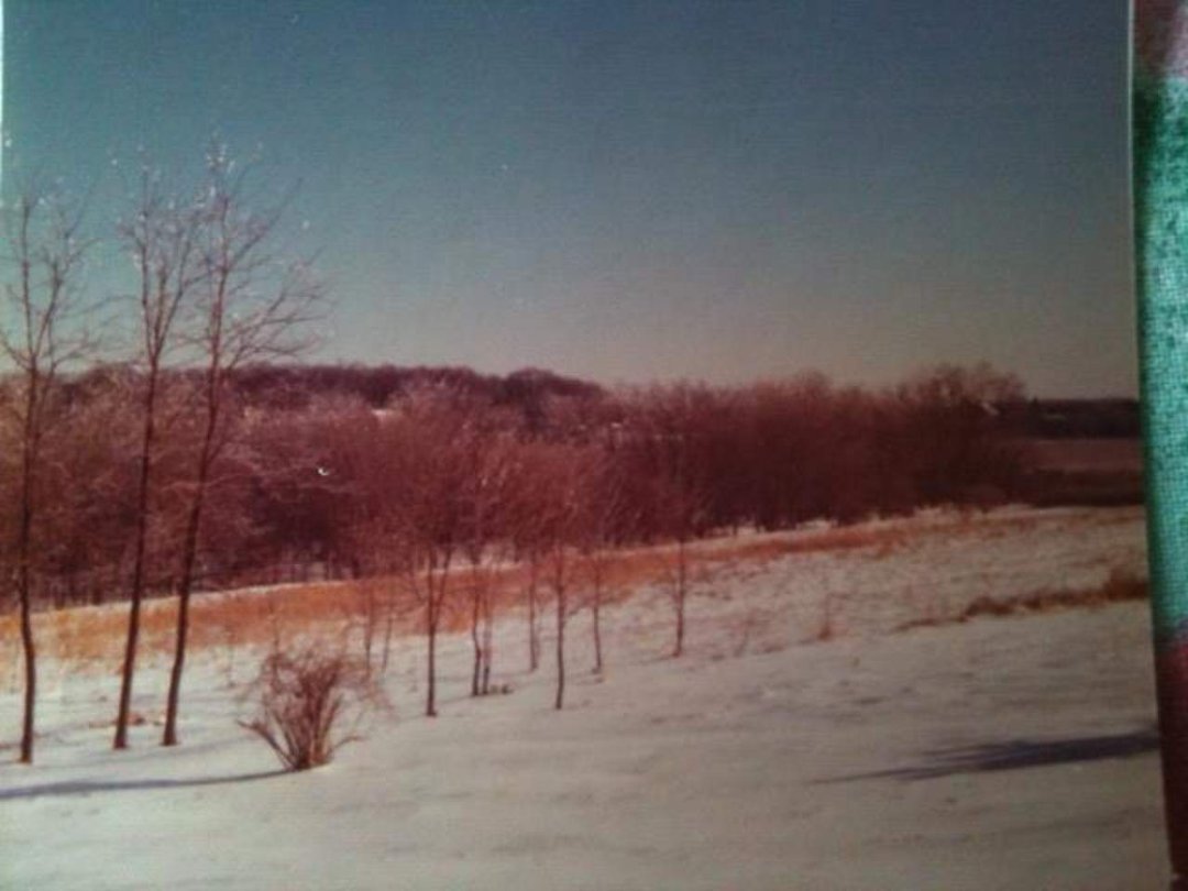 Paula Gallagher's album, Early Years