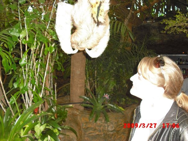Terry Waters' album, Dallas World Aquarium