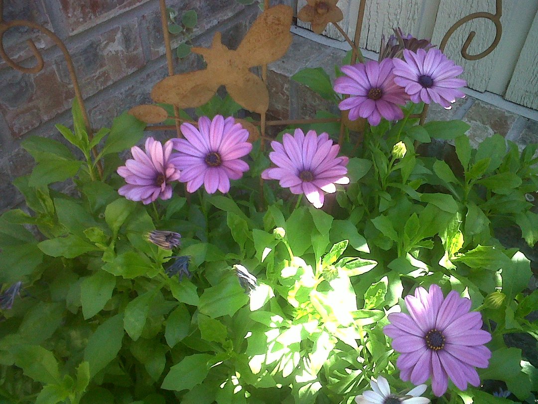 Sandi Hughes' album, Cover Photos