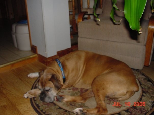Rob Allard's album, Charlie