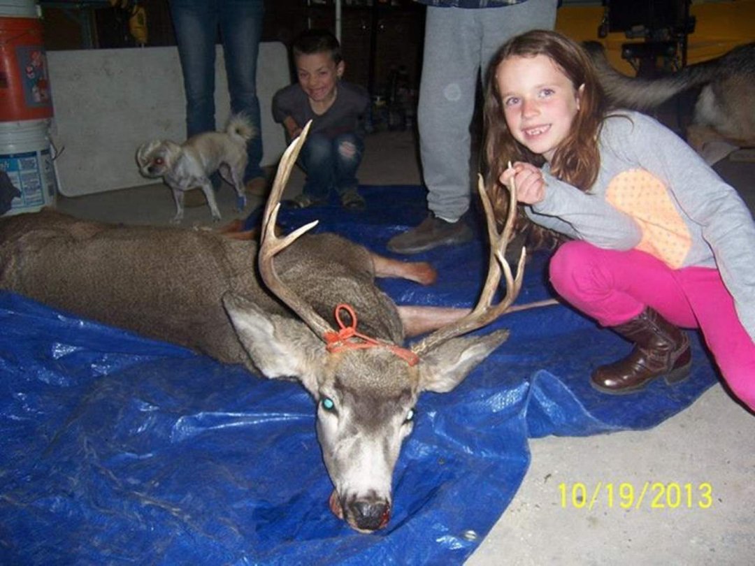 Heather Bell's album, Deer Hunt 2013