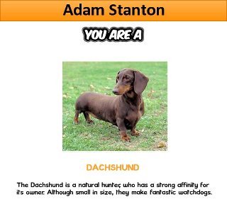 Adam Stanton's album, What Dog Are You? Photos