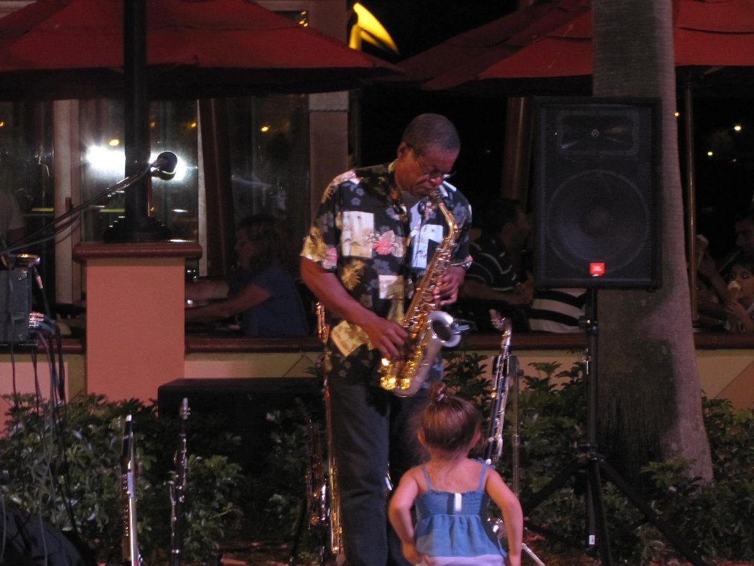 David Andrews' album, Walt Disney World 2013