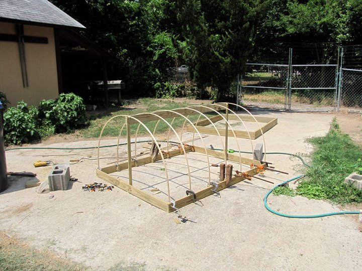 Rudy Volkmann's album, vine borer barrier