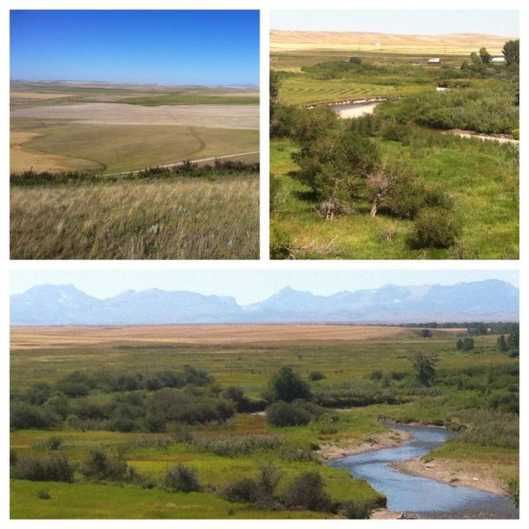 Sandy Wheeler's album, Diptic for iPhone Photos