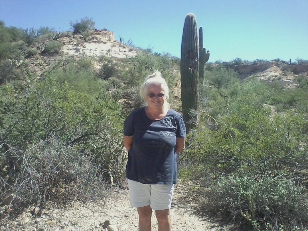 kathy sharpe's album, Mobile Uploads