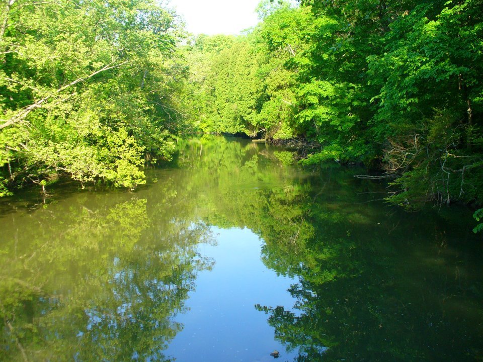Jane Howard's album, John Bryan State Park, Clifton Gorge and Glen Helen