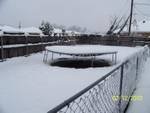 Julie Hicks' album, Texas Snow Feb 2010