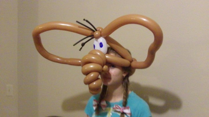 Scott Barhold's album, Balloon Menagerie